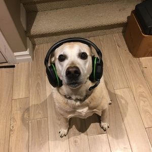 Meet your Posher, Ben